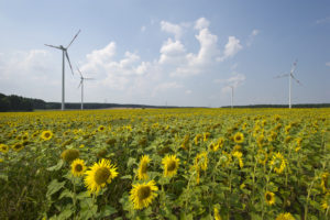 87,6 %! Sonniger Muttertag führt zu Ökostrom-Hoch