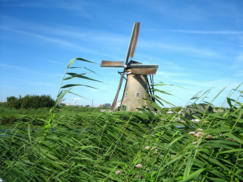 Windmühle und Schilf